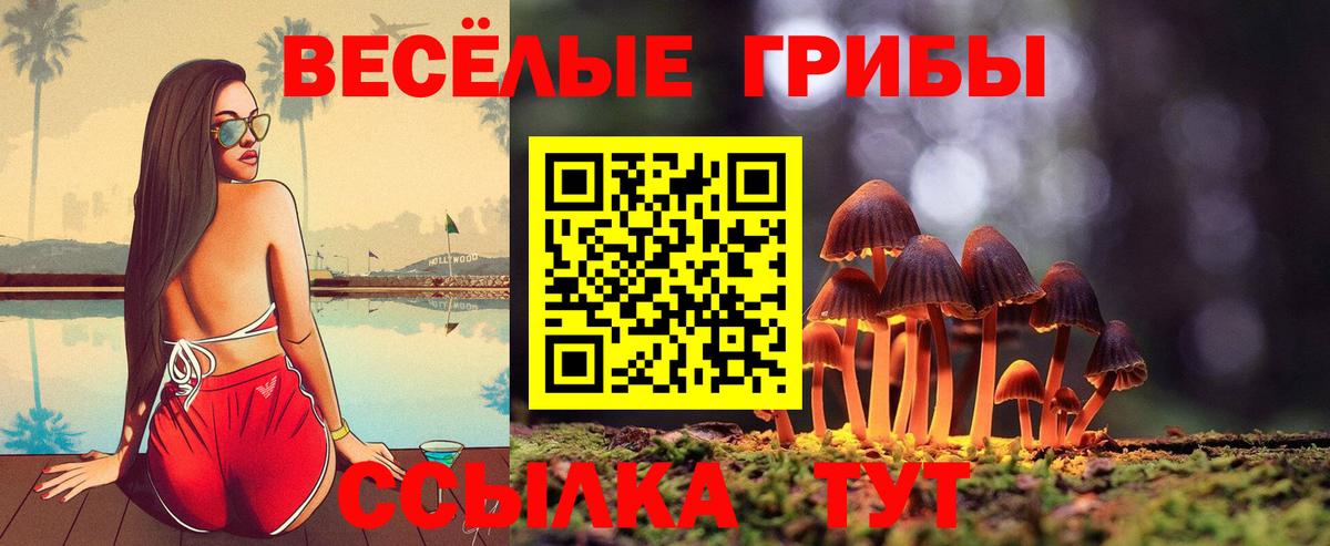 Галлюциногенные грибы Psilocybe  Вход с VPN  Псилоцибиновые грибы мухоморы  Королёв 